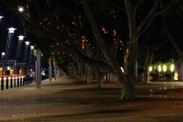 Beautiful lights near the stadiums at the Sydney Olympic Park in Australia