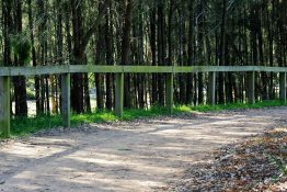 Wooden fence near a dirt road