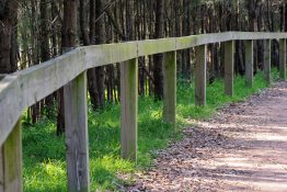 Wooden fence near a dirt road