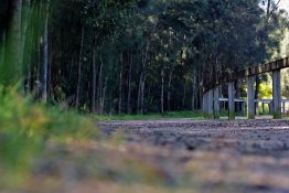 Wooden fence near a dirt road