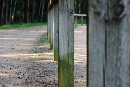 Wooden fence near a dirt road