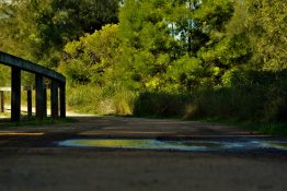 Dirt road