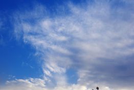 Beautiful white clouds