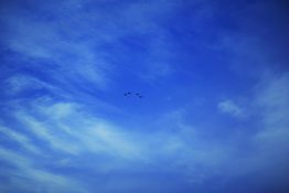 Beautiful white clouds