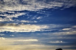 Beautiful white clouds