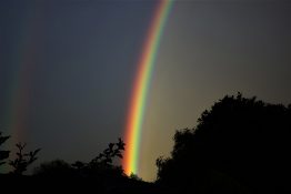 Rainbow appearing after a storm.