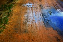 Tire marks of vehicles visible on a muddy road