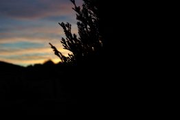 Colourful start to the day with beautiful streak of colours from the rising highlighting the clouds and the sky