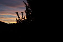 Colourful start to the day with beautiful streak of colours from the rising highlighting the clouds and the sky