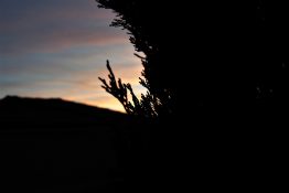 Colourful start to the day with beautiful streak of colours from the rising highlighting the clouds and the sky