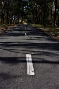 Dividing white marks on asphalt pavement