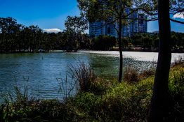 Beautiful Lake at Sydney Olympic Park, Australia