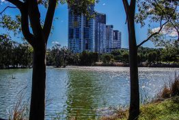 Beautiful Lake at Sydney Olympic Park, Australia