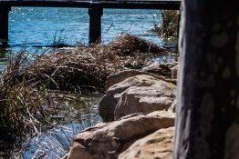 Beautiful natural place to relax by the lake