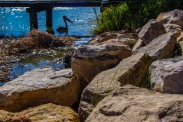 Beautiful natural place to relax by the lake