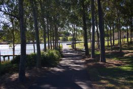 Beautiful natural place to relax by the lake