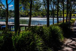 Beautiful natural place to relax by the lake