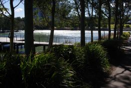 Beautiful natural place to relax by the lake