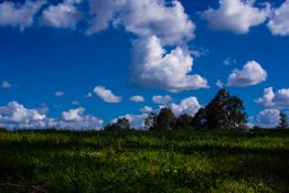 Beautiful white cotton wool like clouds on a bright day