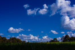 Beautiful white cotton wool like clouds on a bright day