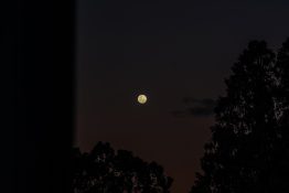 Beautiful colours formed as the sun sets and the moon rises