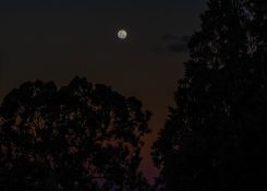 Beautiful colours formed as the sun sets and the moon rises