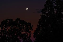 Beautiful colours formed as the sun sets and the moon rises