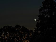 Beautiful colours formed as the sun sets and the moon rises