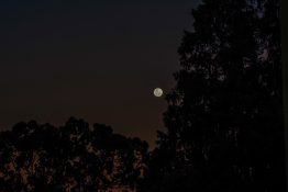 Beautiful colours formed as the sun sets and the moon rises