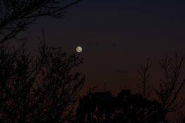 Beautiful colours formed as the sun sets and the moon rises