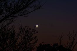 Beautiful colours formed as the sun sets and the moon rises