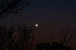 Beautiful colours formed as the sun sets and the moon rises