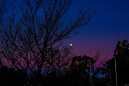 Beautiful colours formed as the sun sets and the moon rises