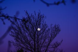 Beautiful colours formed as the sun sets and the moon rises