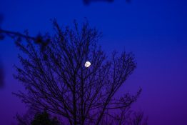 Beautiful colours formed as the sun sets and the moon rises