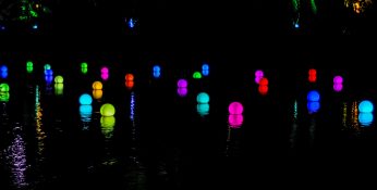 Beautiful colours in a pond during the festival of lights at New Plymouth in New Zealand