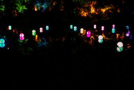 Beautiful colours in a pond during the festival of lights at New Plymouth in New Zealand