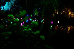 Beautiful colours in a pond during the festival of lights at New Plymouth in New Zealand