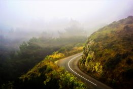 A curving road leading uphill to a foggy area in Wellington , New Zealand