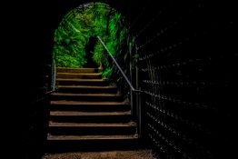 Short tunnel and steps leading to a garden in New Plymouth in New Zealand