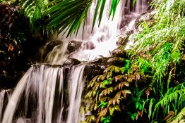 Water running down a beautiful waterfall