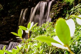 Water running down a beautiful waterfall