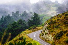 Beautiful view of a road going uphill with a backdrop fogs covering tree tops - Wellington New Zealand