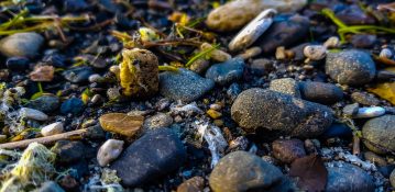 Beautiful Pebbles on the beach