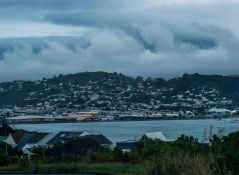 Wellington - New Zealand