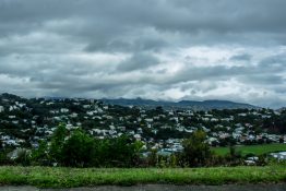 Wellington - New Zealand