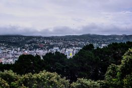 Wellington - New Zealand