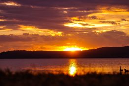 Magnificent golden sunset at Lake Taupou - New Zealand