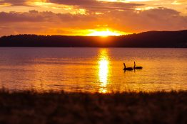 Magnificent golden sunset at Lake Taupou - New Zealand