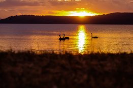 Magnificent golden sunset at Lake Taupou - New Zealand